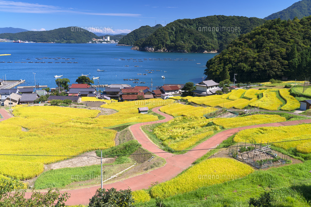 日引の棚田と若狭湾
(c)YOSHITSUGU NISHIGAKI/SEBUN PHOTO