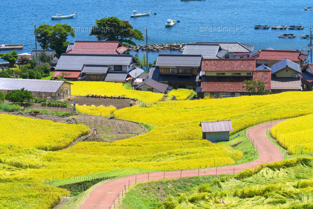日引の棚田と若狭湾
(c)YOSHITSUGU NISHIGAKI/SEBUN PHOTO