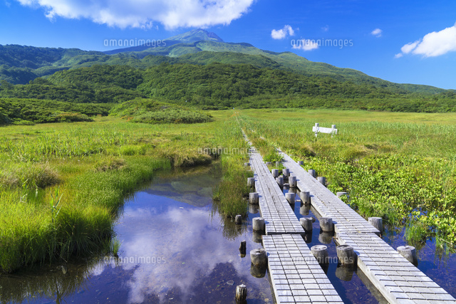 竜ヶ原湿原と鳥海山
(c)YOSHITSUGU NISHIGAKI/SEBUN PHOTO