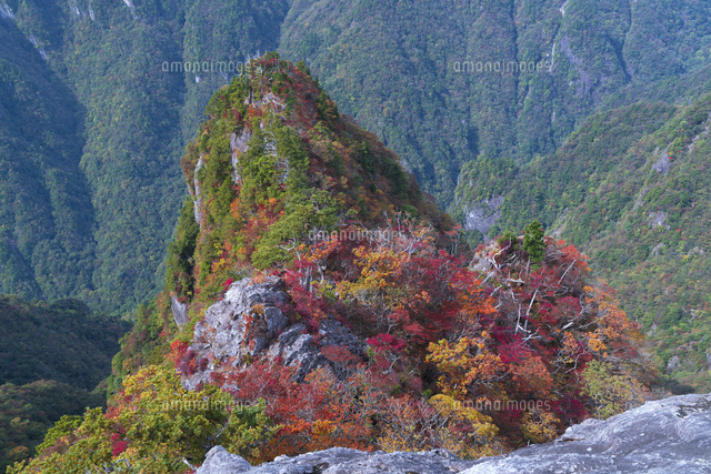 H‚Ì‘å‘䃖Œ´‚Ì‘åŽÖú°
(c)YOSHITSUGU NISHIGAKI/SEBUN PHOTO