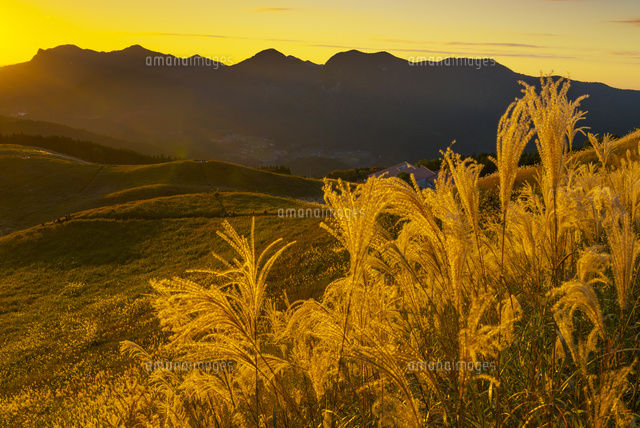 ススキと曽爾高原の夕景
(c)YOSHITSUGU NISHIGAKI/SEBUN PHOTO