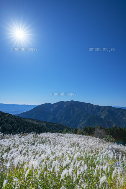 ススキの葛城高原と金剛山
(c)YOSHITSUGU NISHIGAKI/SEBUN PHOTO