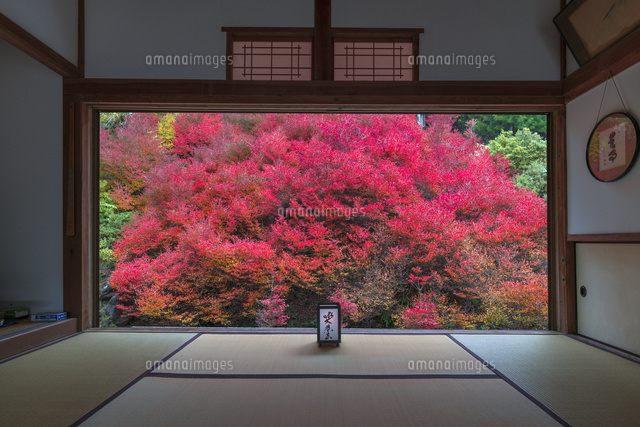 安国寺のドウダンツツジ
(c)YOSHITSUGU NISHIGAKI/SEBUN PHOTO