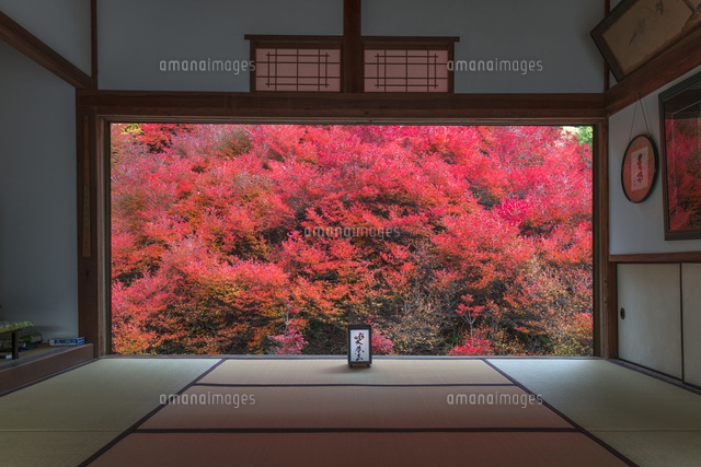 安国寺のドウダンツツジ
(c)YOSHITSUGU NISHIGAKI/SEBUN PHOTO