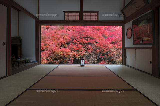 安国寺のドウダンツツジ
(c)YOSHITSUGU NISHIGAKI/SEBUN PHOTO