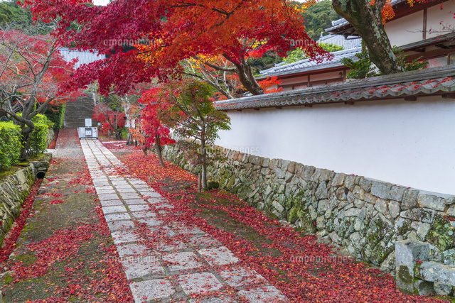 秋の満願寺
(c)YOSHITSUGU NISHIGAKI/SEBUN PHOTO
