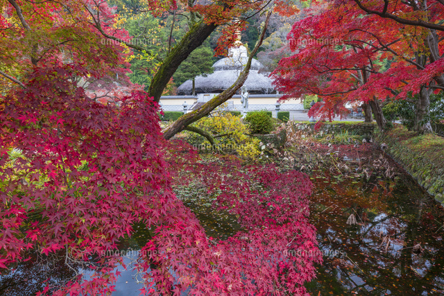 秋の久安寺
(c)YOSHITSUGU NISHIGAKI/SEBUN PHOTO