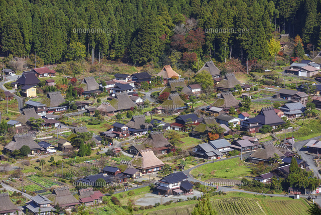 秋のかやぶきの里
(c)YOSHITSUGU NISHIGAKI/SEBUN PHOTO