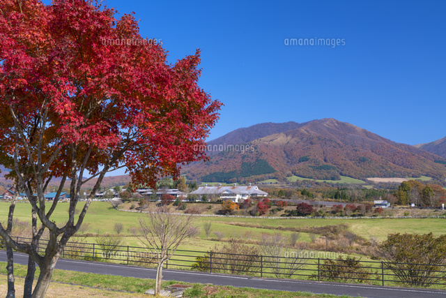 秋の蒜山高原
(c)YOSHITSUGU NISHIGAKI/SEBUN PHOTO