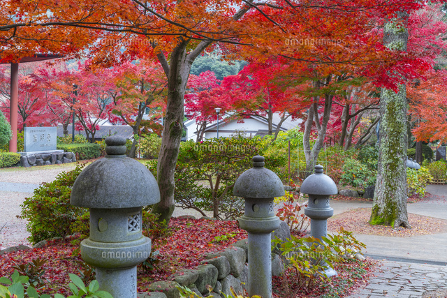 秋の久安寺
(c)YOSHITSUGU NISHIGAKI/SEBUN PHOTO