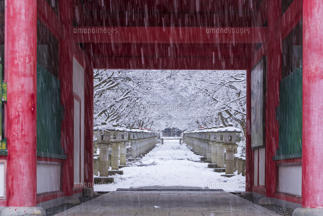 雪の高山寺
(c)YOSHITSUGU NISHIGAKI/SEBUN PHOTO