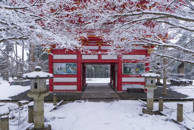 雪の高山寺
(c)YOSHITSUGU NISHIGAKI/SEBUN PHOTO