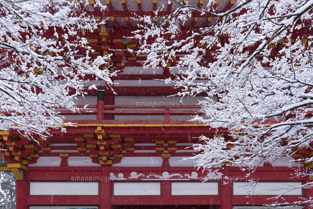 雪の高山寺
(c)YOSHITSUGU NISHIGAKI/SEBUN PHOTO