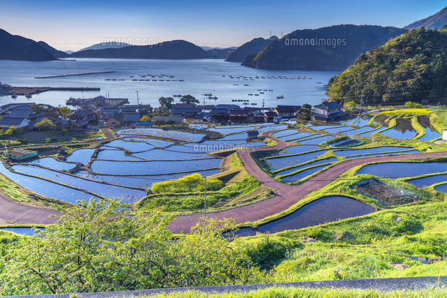 朝の日引の棚田
(c)YOSHITSUGU NISHIGAKI/SEBUN PHOTO