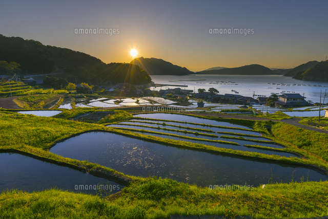 朝日と日引の棚田
(c)YOSHITSUGU NISHIGAKI/SEBUN PHOTO