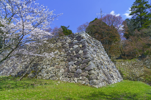 桜咲く高取城跡
(c)YOSHITSUGU NISHIGAKI/SEBUN PHOTO
