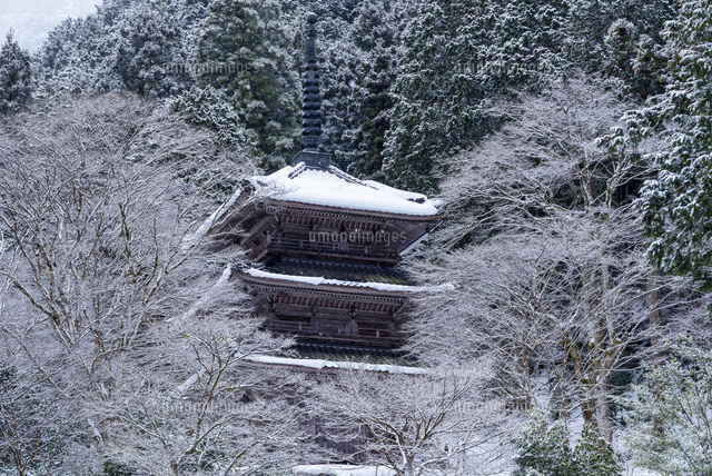 雪の高源寺多宝塔
(c)YOSHITSUGU NISHIGAKI/SEBUN PHOTO