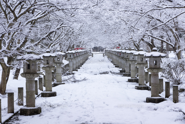 雪の高山寺
(c)YOSHITSUGU NISHIGAKI/SEBUN PHOTO