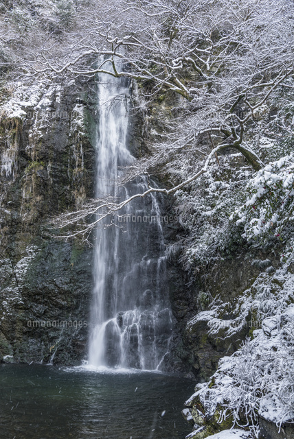 雪の箕面滝
(c)YOSHITSUGU NISHIGAKI/SEBUN PHOTO