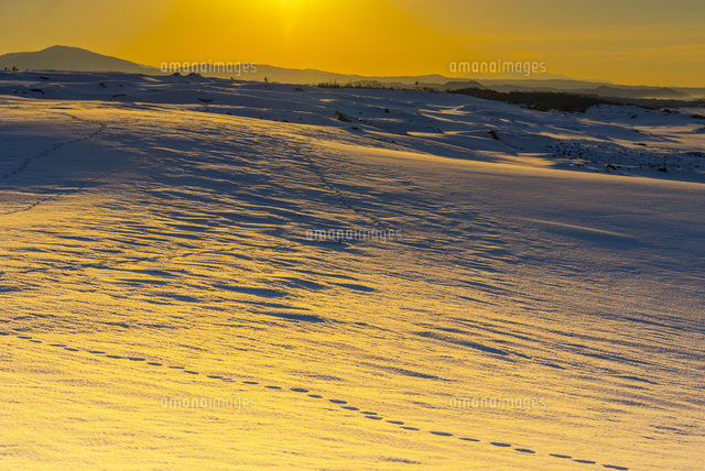 雪の鳥取砂丘夕景
(c)YOSHITSUGU NISHIGAKI/SEBUN PHOTO
