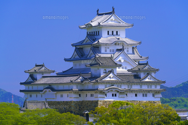 新緑の姫路城
(c)YOSHITSUGU NISHIGAKI/SEBUN PHOTO