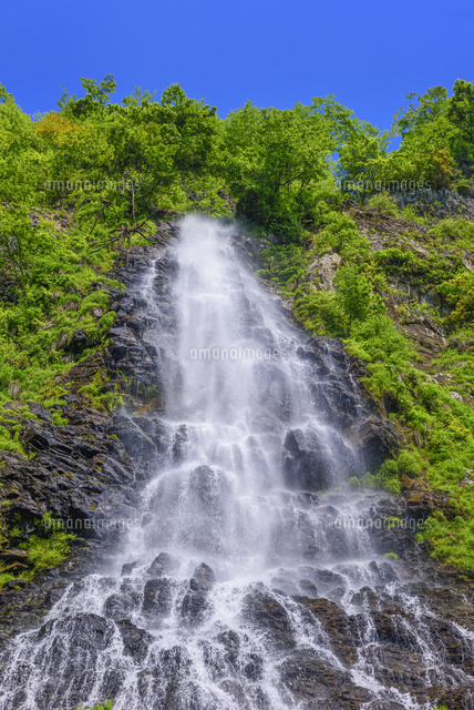 新緑の天滝
(c)YOSHITSUGU NISHIGAKI/SEBUN PHOTO