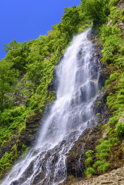 新緑の天滝
(c)YOSHITSUGU NISHIGAKI/SEBUN PHOTO