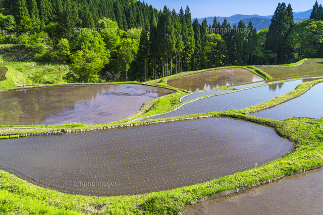 うへ山の棚田
(c)YOSHITSUGU NISHIGAKI/SEBUN PHOTO