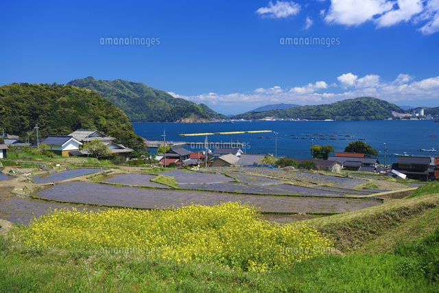日引の棚田
(c)YOSHITSUGU NISHIGAKI/SEBUN PHOTO
