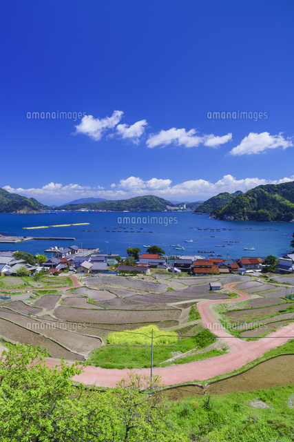 日引の棚田
(c)YOSHITSUGU NISHIGAKI/SEBUN PHOTO