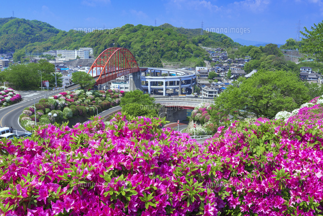 ツツジ咲く音戸の瀬戸公園
(c)YOSHITSUGU NISHIGAKI/SEBUN PHOTO