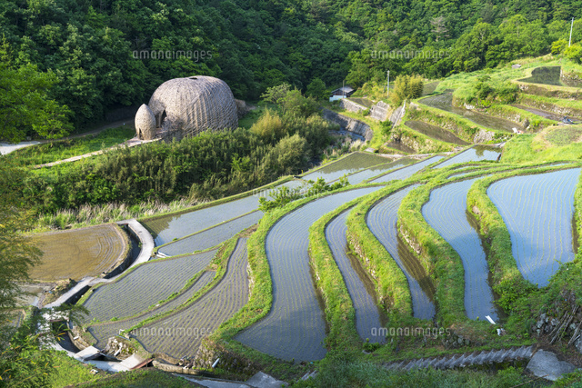 中山千枚田
(c)YOSHITSUGU NISHIGAKI/SEBUN PHOTO