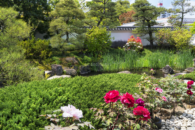 姫路城西御屋敷跡庭園好古園
(c)YOSHITSUGU NISHIGAKI/SEBUN PHOTO