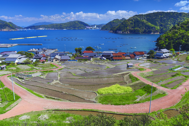 日引の棚田
(c)YOSHITSUGU NISHIGAKI/SEBUN PHOTO