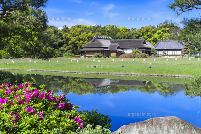 ツツジ咲く後楽園
(c)YOSHITSUGU NISHIGAKI/SEBUN PHOTO