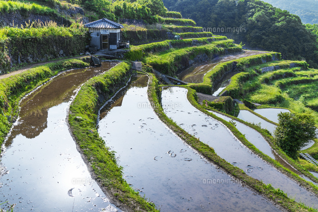 中山千枚田
(c)YOSHITSUGU NISHIGAKI/SEBUN PHOTO