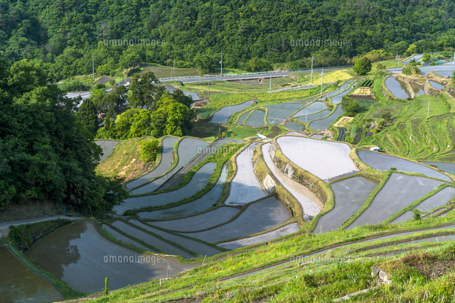 中山千枚田
(c)YOSHITSUGU NISHIGAKI/SEBUN PHOTO