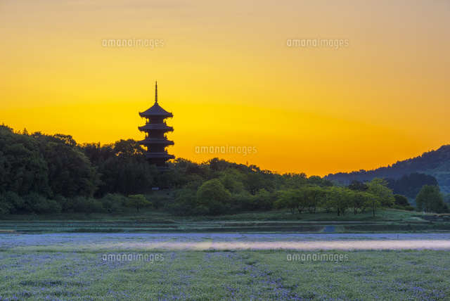 朝の備中国分寺
(c)YOSHITSUGU NISHIGAKI/SEBUN PHOTO