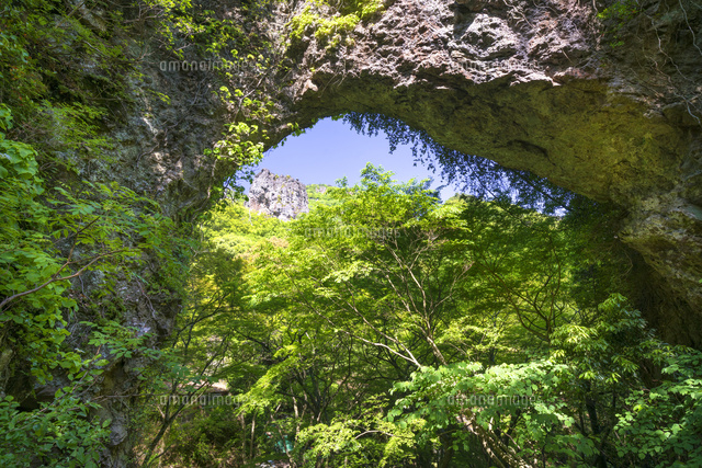 寒霞渓裏八景
(c)YOSHITSUGU NISHIGAKI/SEBUN PHOTO