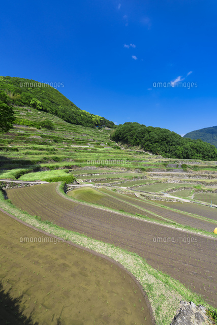 中山千枚田
(c)YOSHITSUGU NISHIGAKI/SEBUN PHOTO