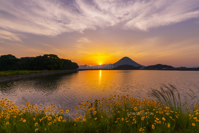 朝の宮池と讃岐富士
(c)YOSHITSUGU NISHIGAKI/SEBUN PHOTO