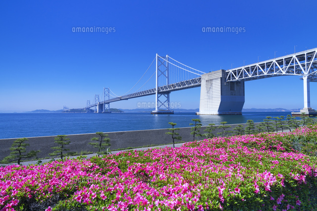 瀬戸大橋記念公園より瀬戸大橋
(c)YOSHITSUGU NISHIGAKI/SEBUN PHOTO