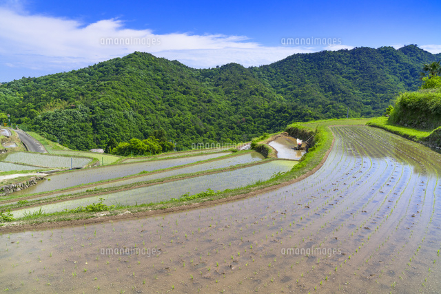 中山千枚田
(c)YOSHITSUGU NISHIGAKI/SEBUN PHOTO