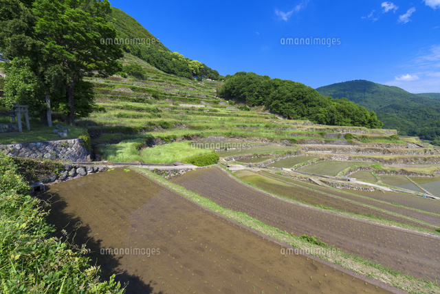 中山千枚田
(c)YOSHITSUGU NISHIGAKI/SEBUN PHOTO