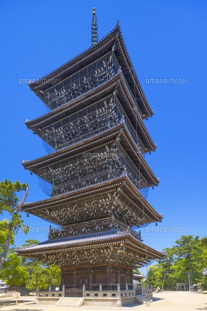 善通寺五重塔
(c)YOSHITSUGU NISHIGAKI/SEBUN PHOTO