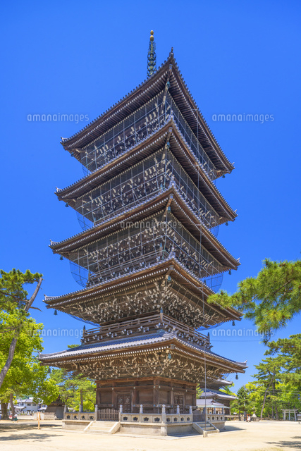 善通寺五重塔
(c)YOSHITSUGU NISHIGAKI/SEBUN PHOTO