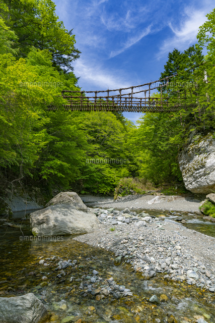 奥祖谷二重かずら橋
(c)YOSHITSUGU NISHIGAKI/SEBUN PHOTO