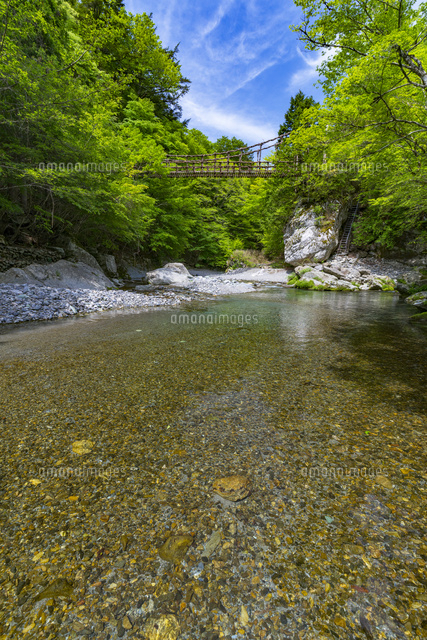 奥祖谷二重かずら橋
(c)YOSHITSUGU NISHIGAKI/SEBUN PHOTO