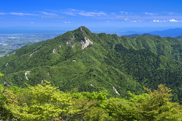 御在所岳より鎌ヶ岳
(c)YOSHITSUGU NISHIGAKI/SEBUN PHOTO