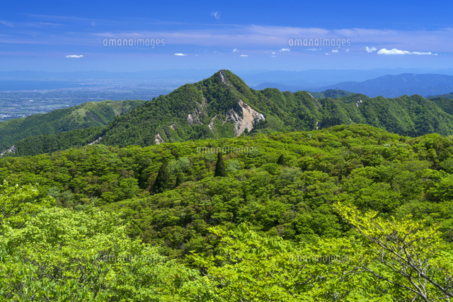 御在所岳より鎌ヶ岳
(c)YOSHITSUGU NISHIGAKI/SEBUN PHOTO